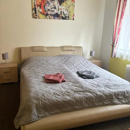 U Dusku Guest house *